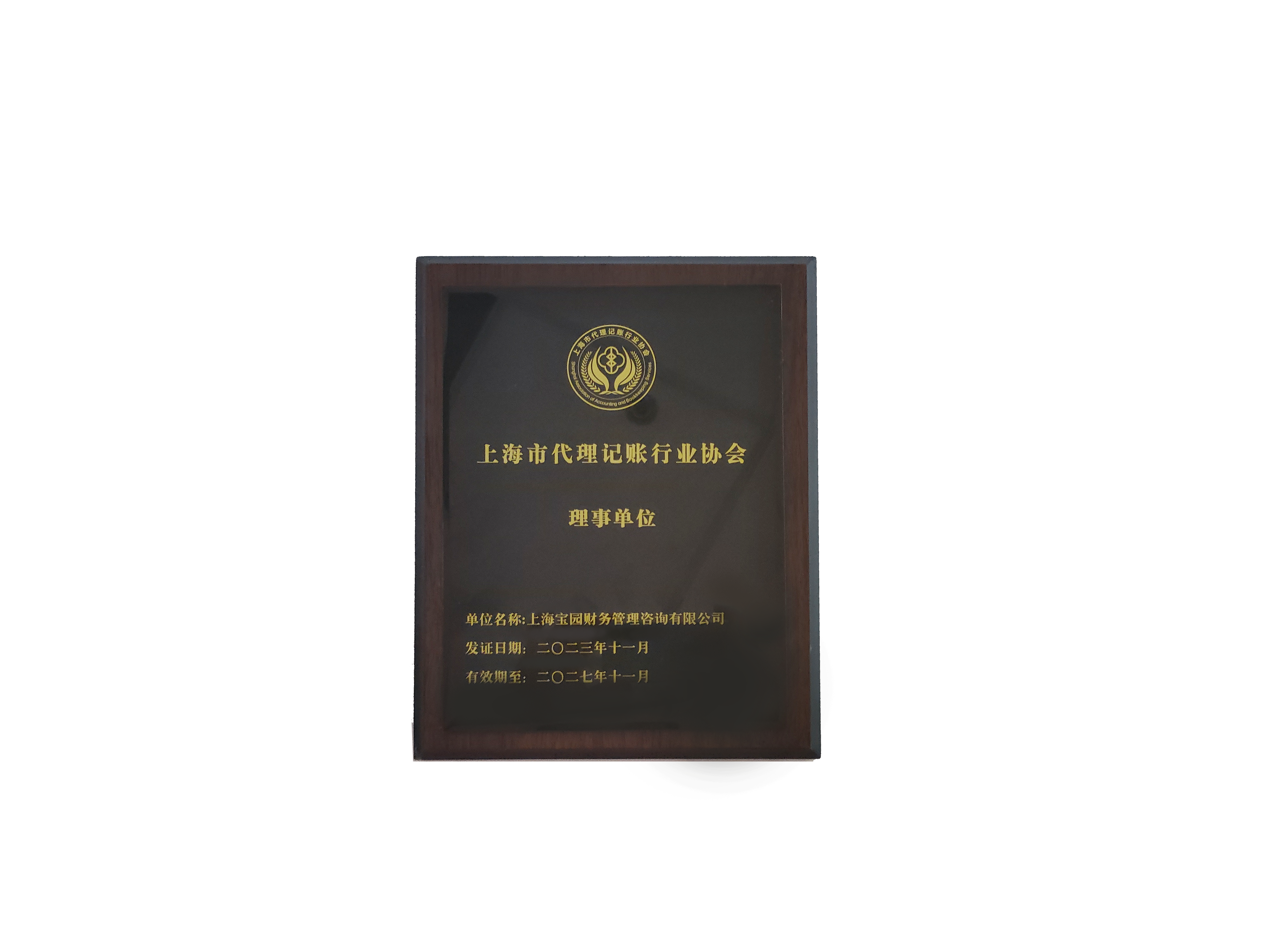 代理记账行业理事单位